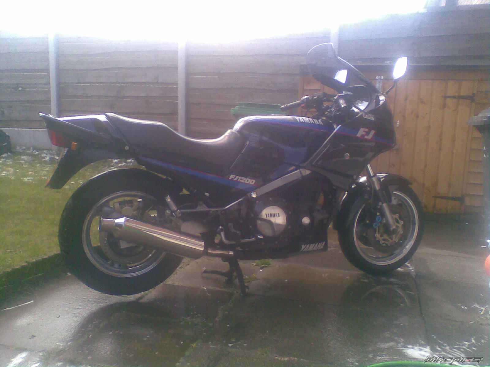 Photo 1303978