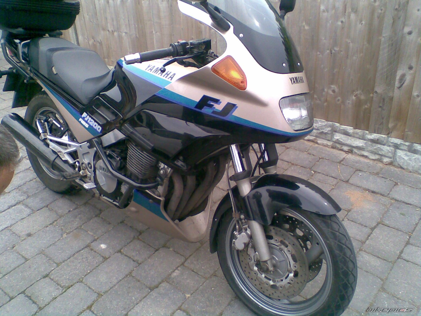 Photo 1303983