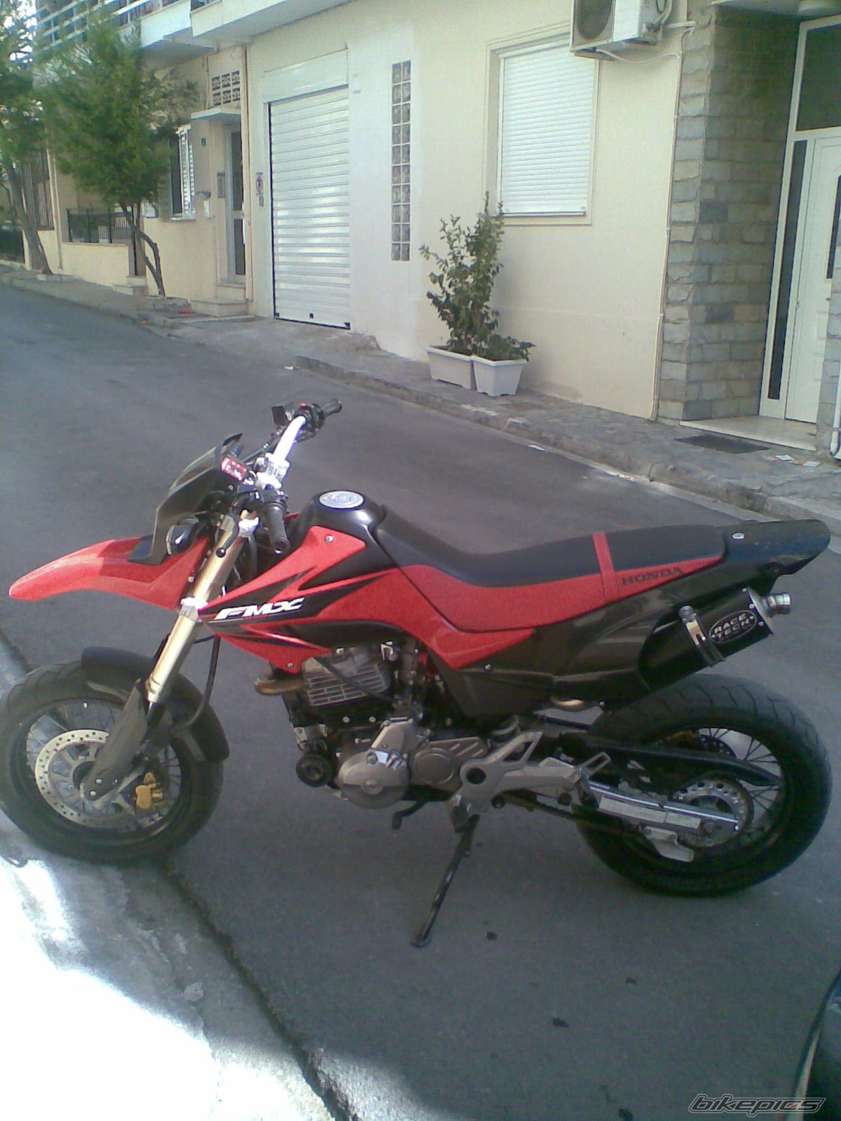 Photo 1303992