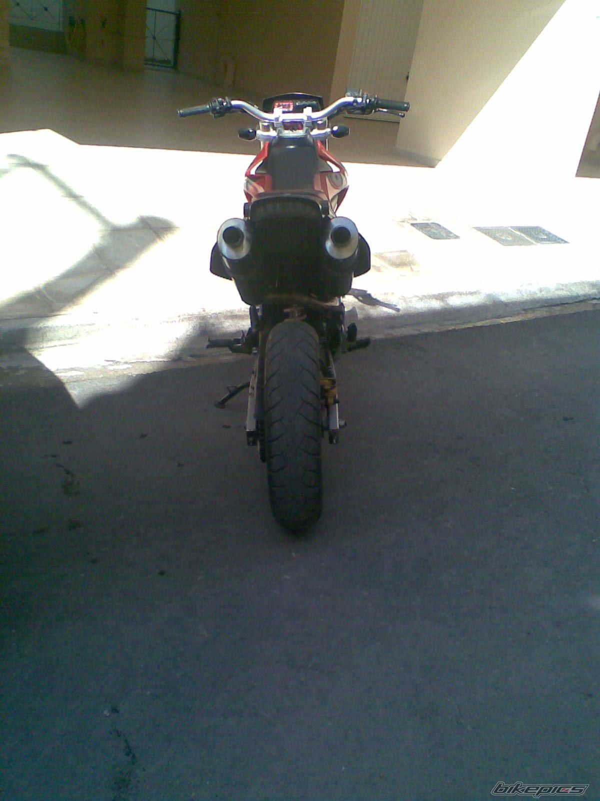 Photo 1303995