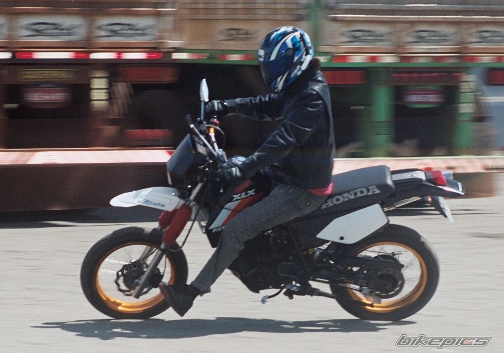Photo 1304087