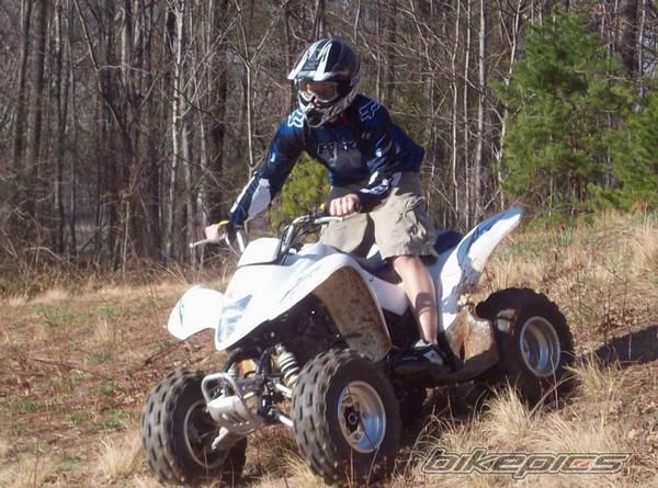Photo 1304158