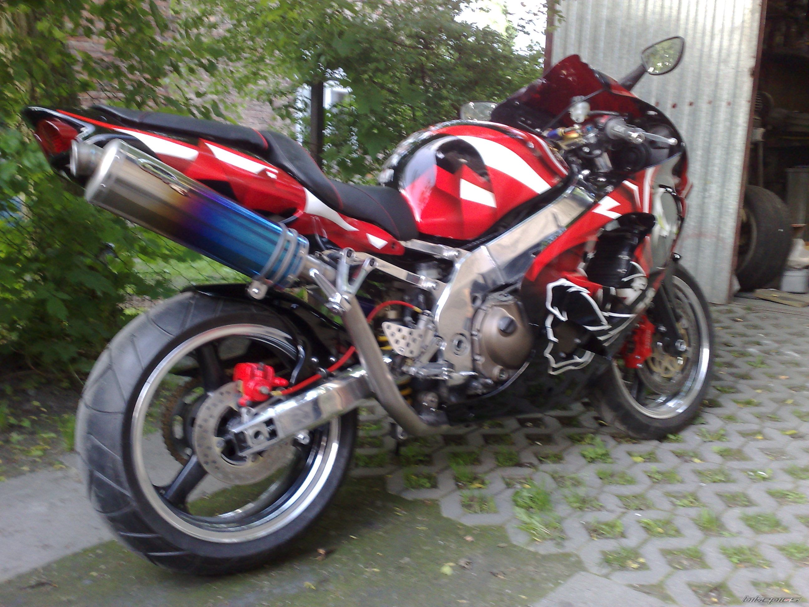 Photo 1304175