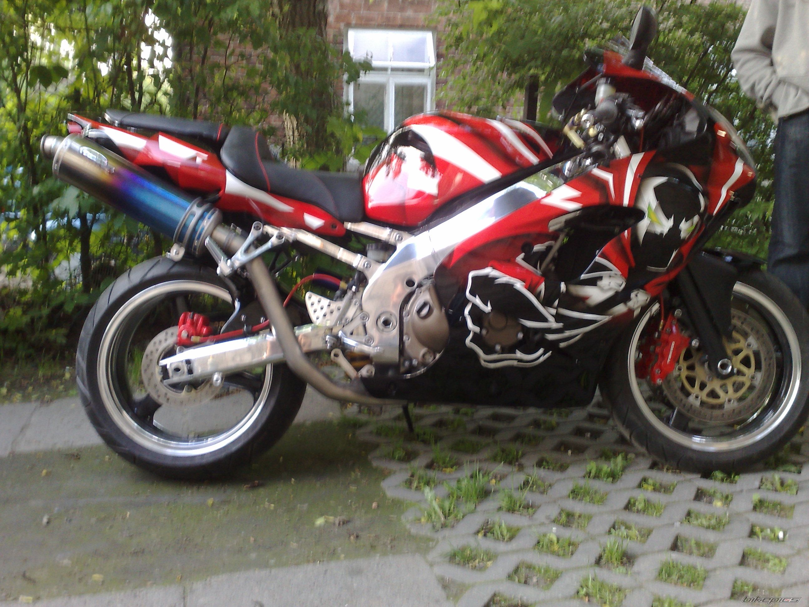 Photo 1304176