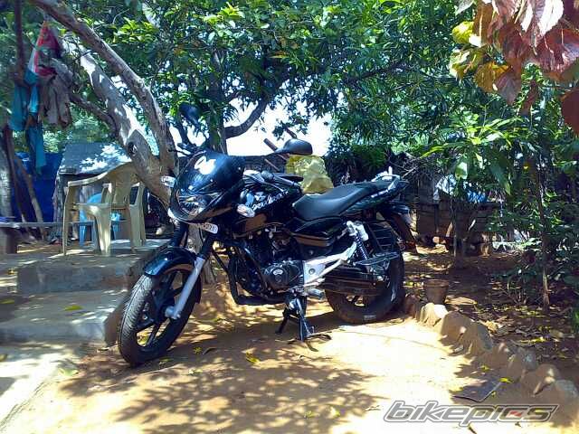 Photo 1304192