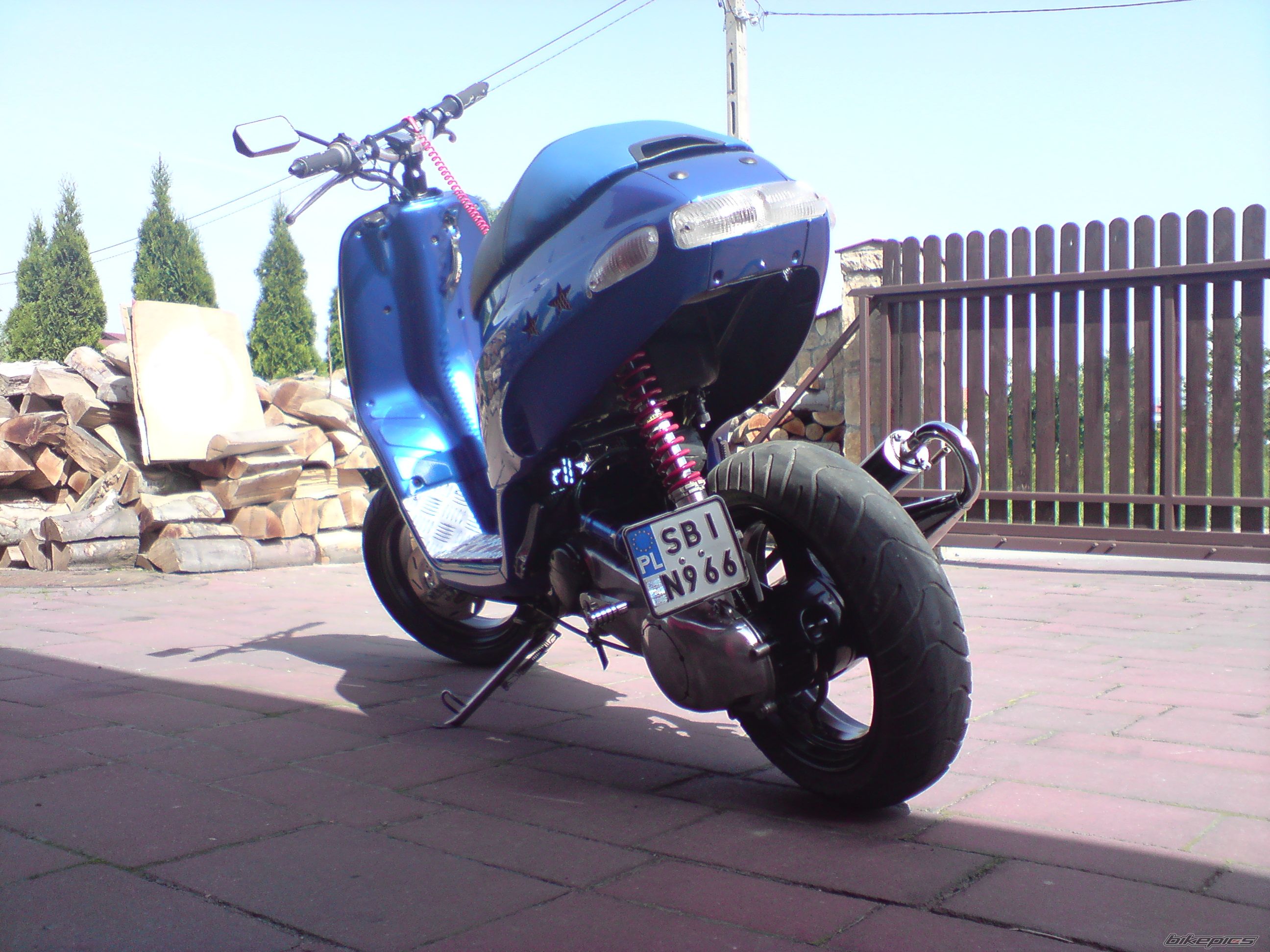 Photo 1304226