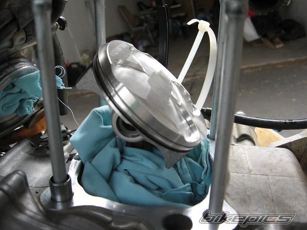 Photo 1304280
