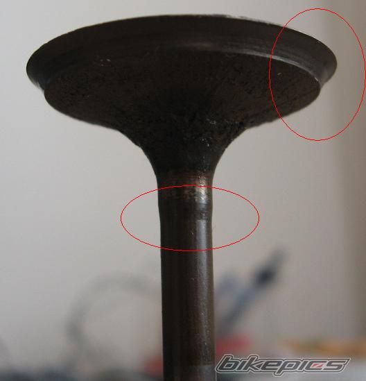 Photo 1304290