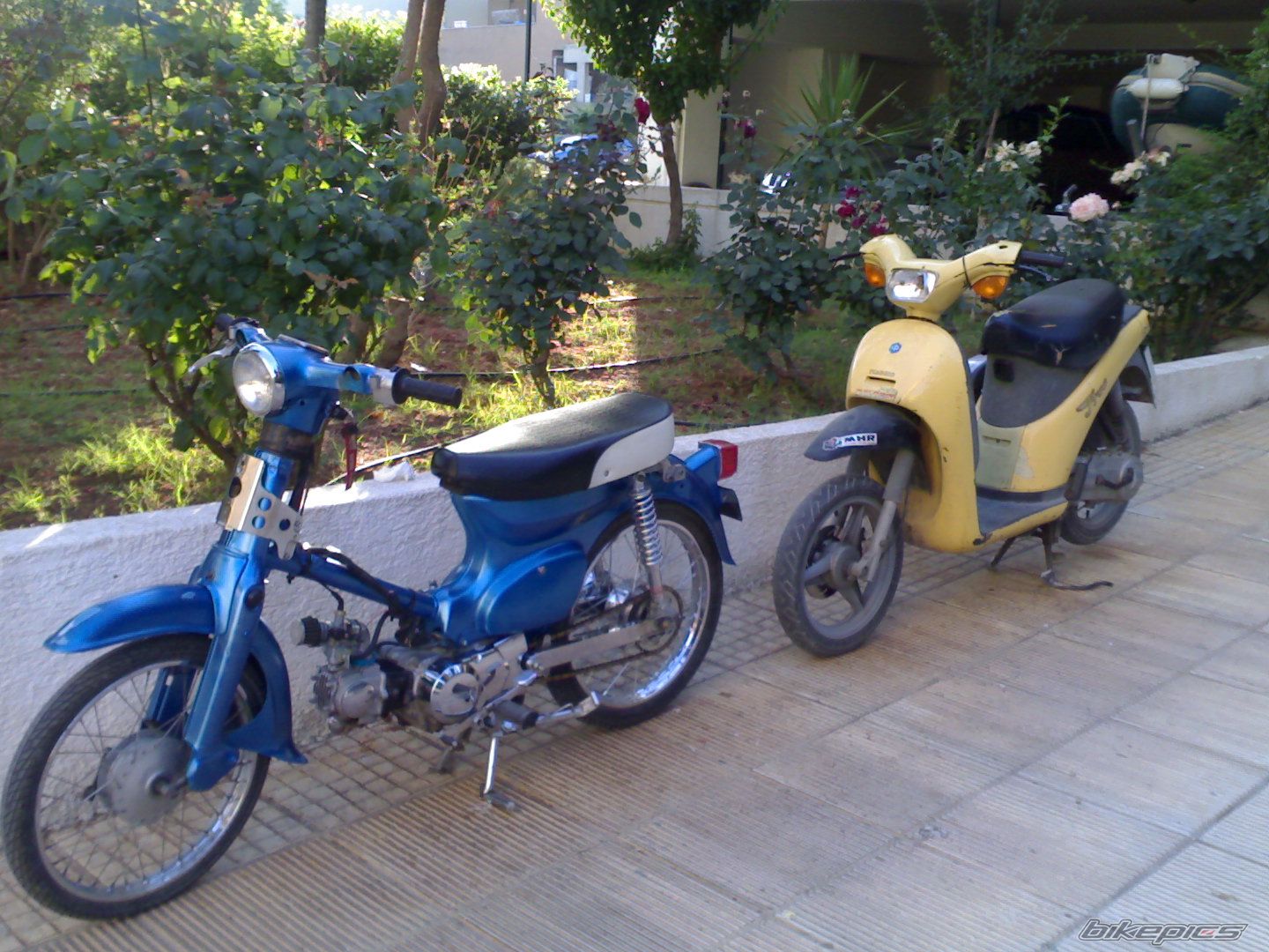 Photo 1304453