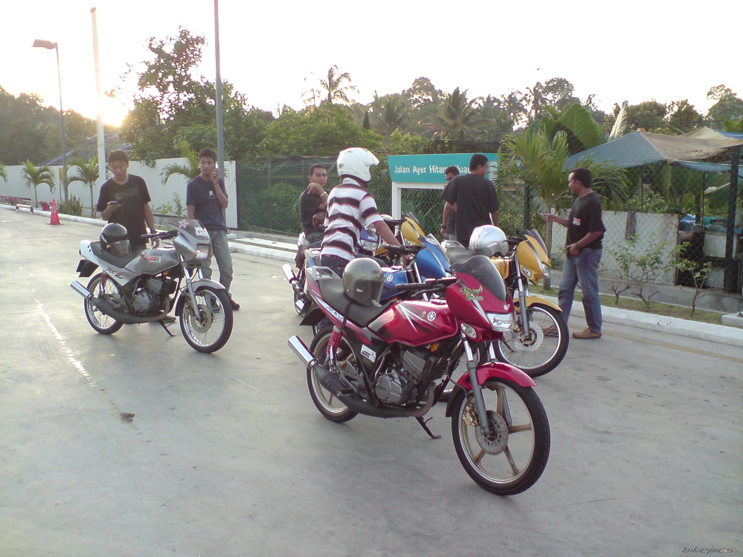 Photo 1304468