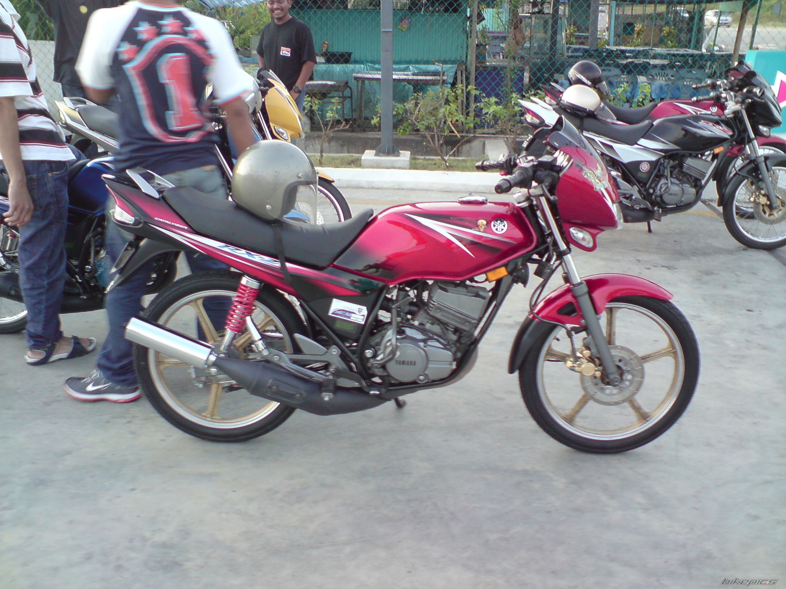 Photo 1304469