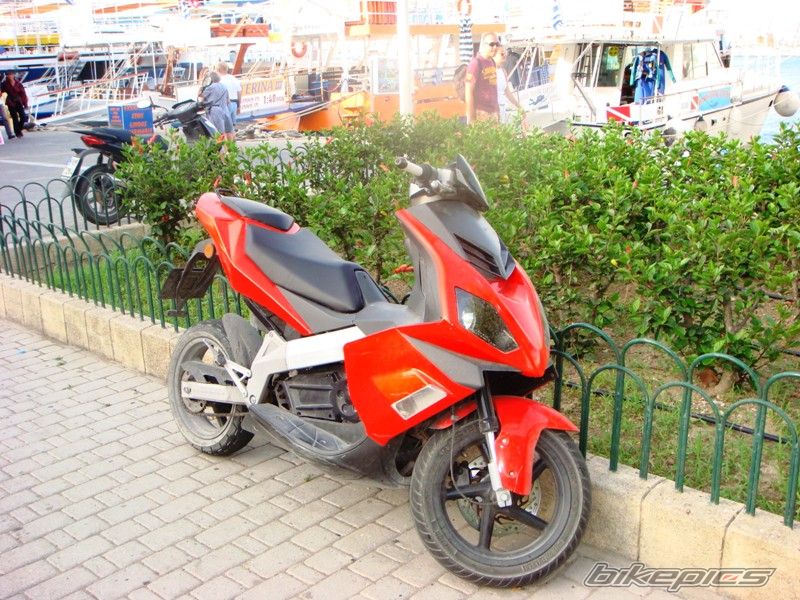 Photo 1304481