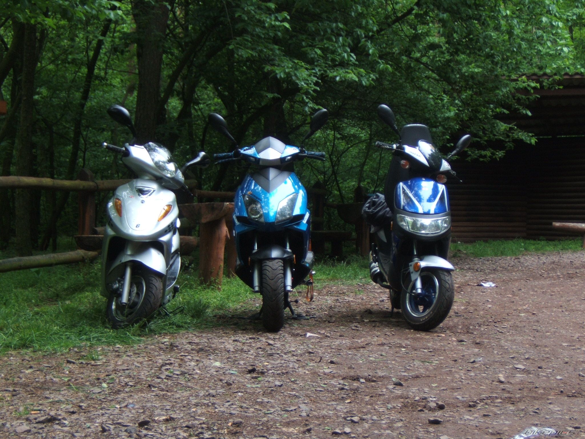 Photo 1304535