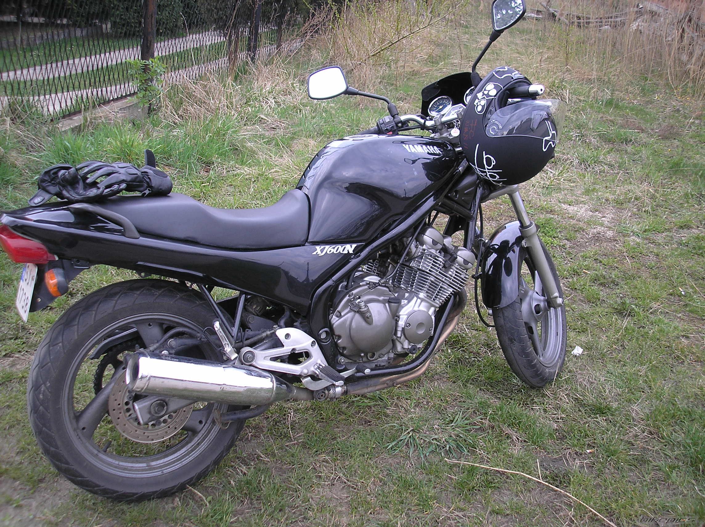 Photo 1304537