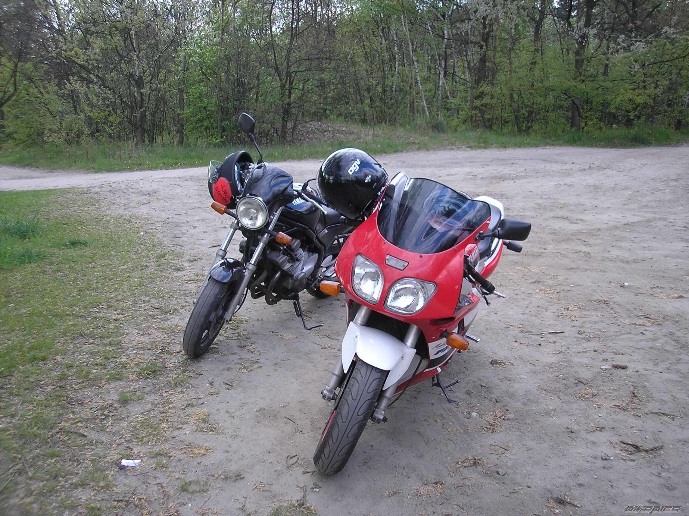 Photo 1304549