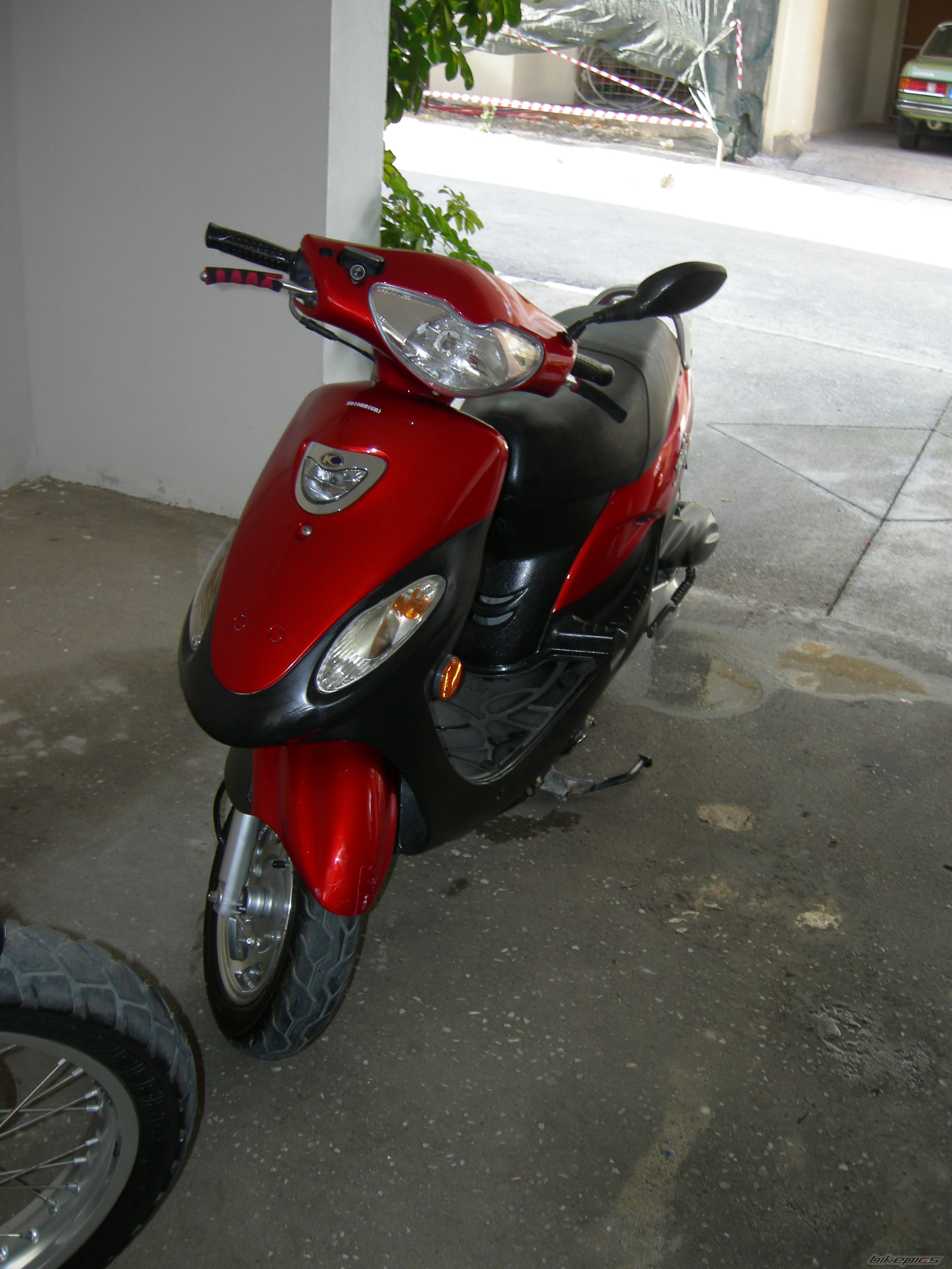 Photo 1304605