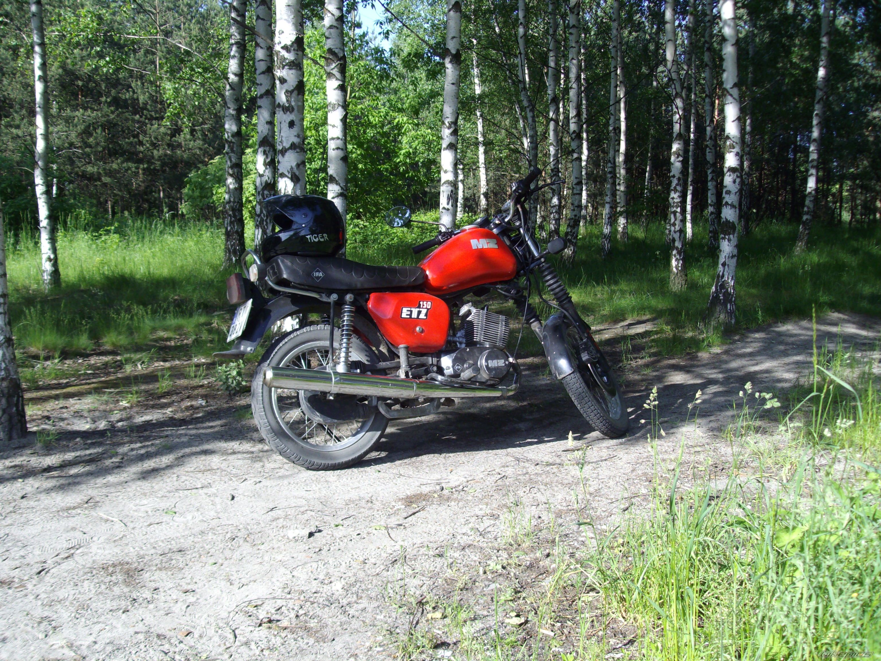 Photo 1304627