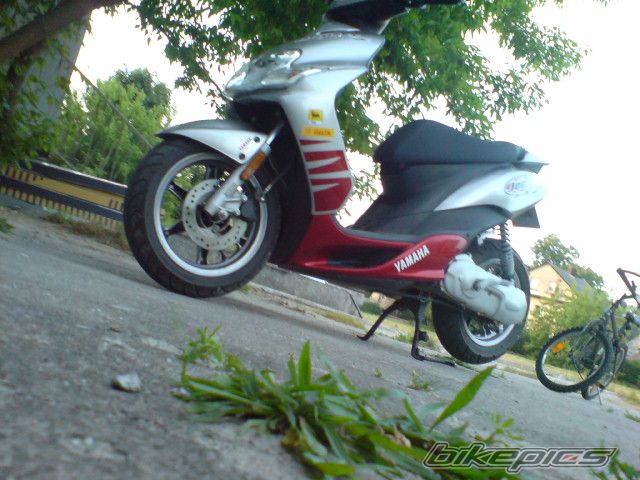 Photo 1304671