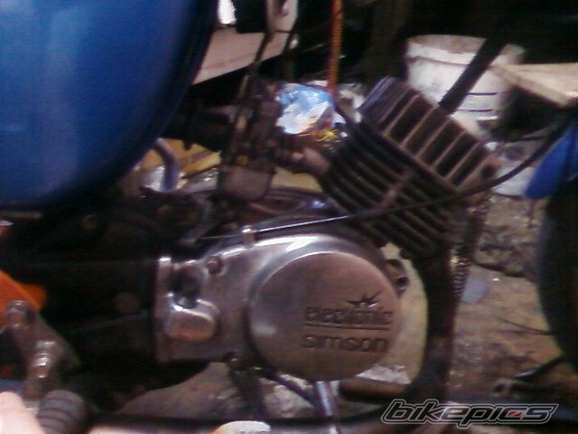 Photo 1304675