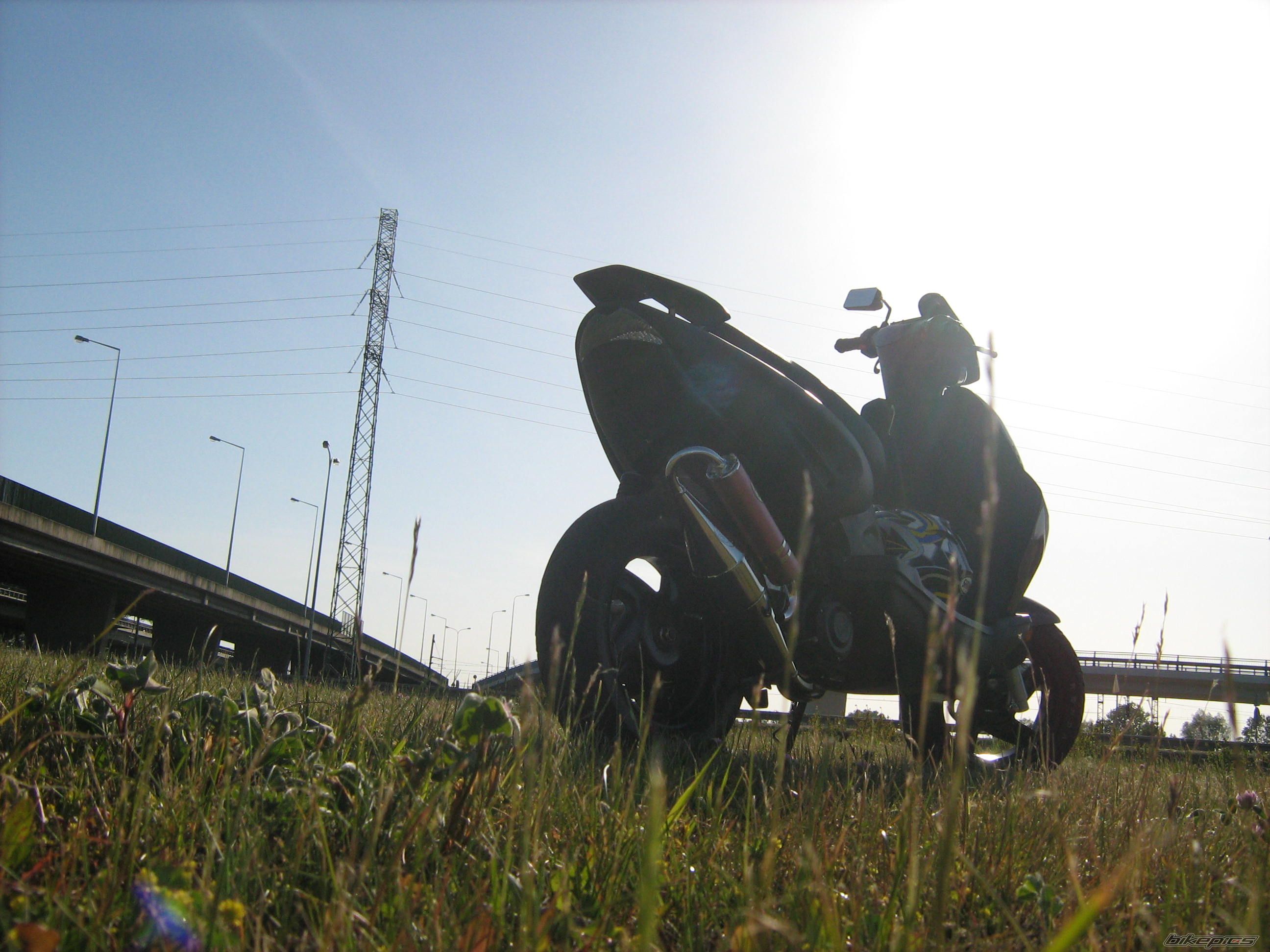Photo 1304681