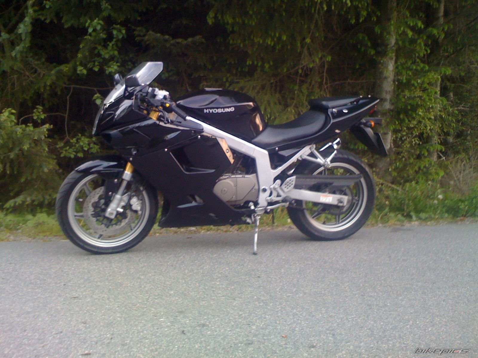 Photo 1304776