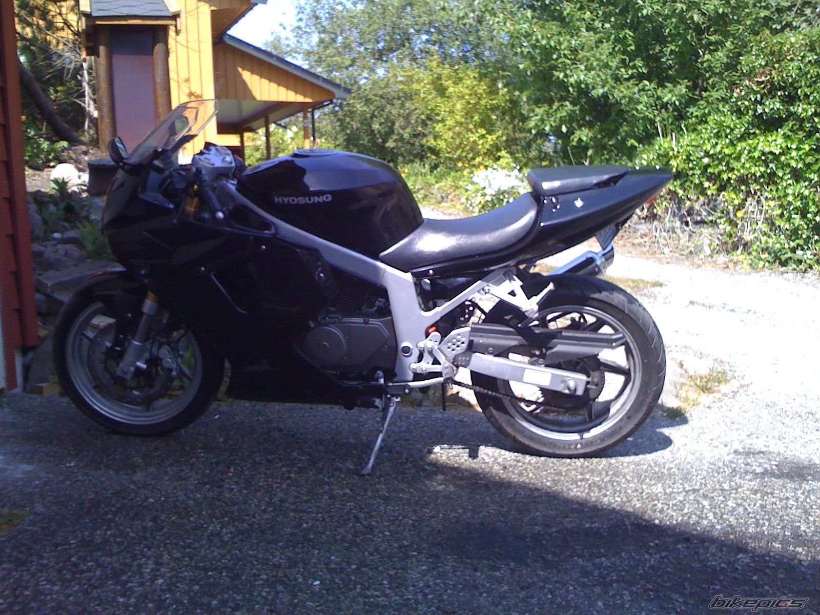 Photo 1304778