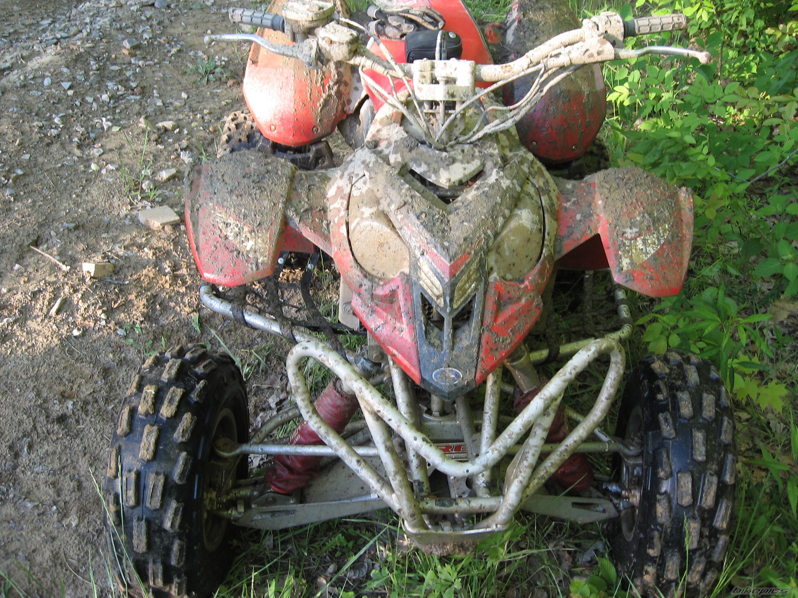 Photo 1304798