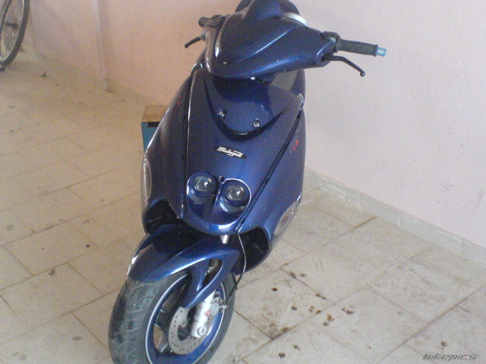 Photo 1304912