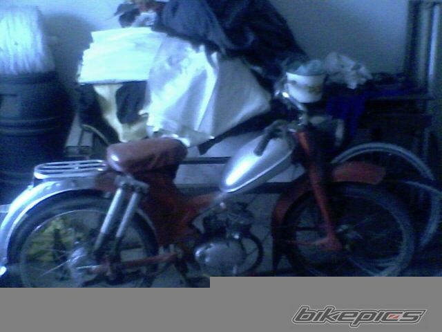 Photo 1304933