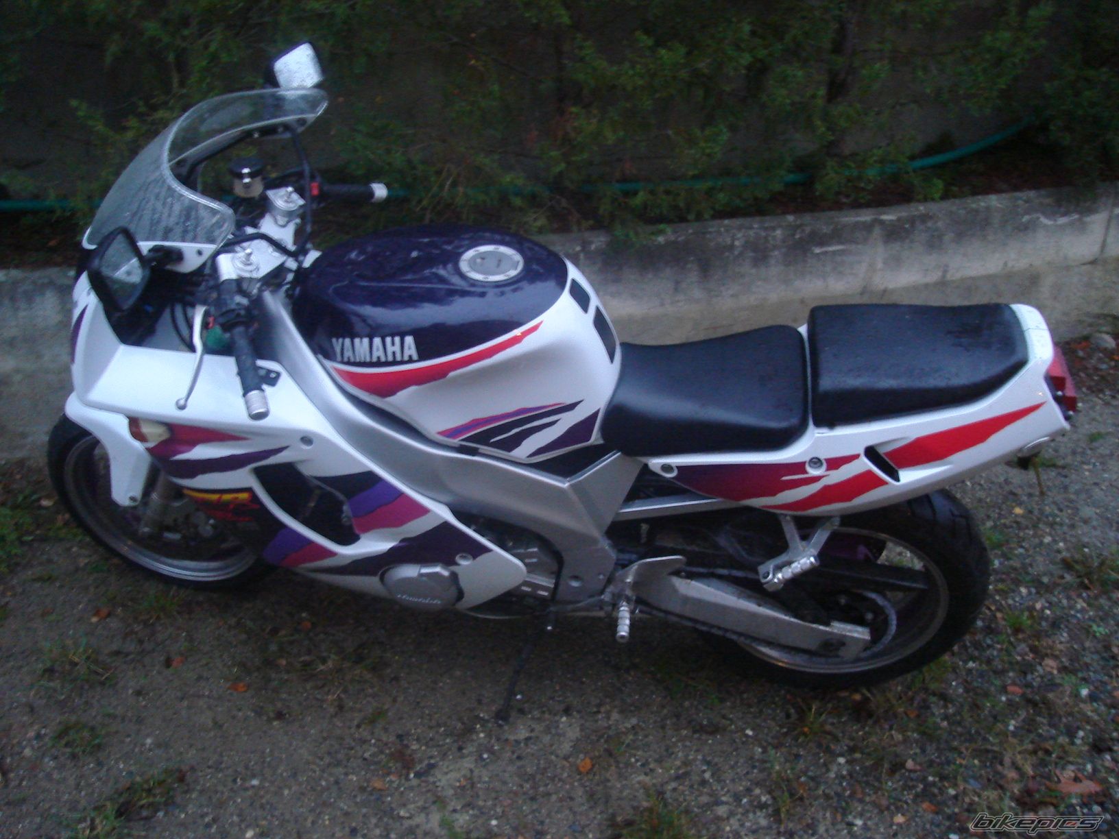 Photo 1305003