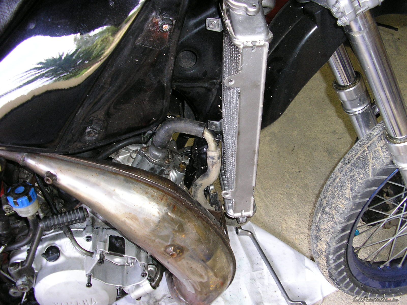 Bike Photo 1305065