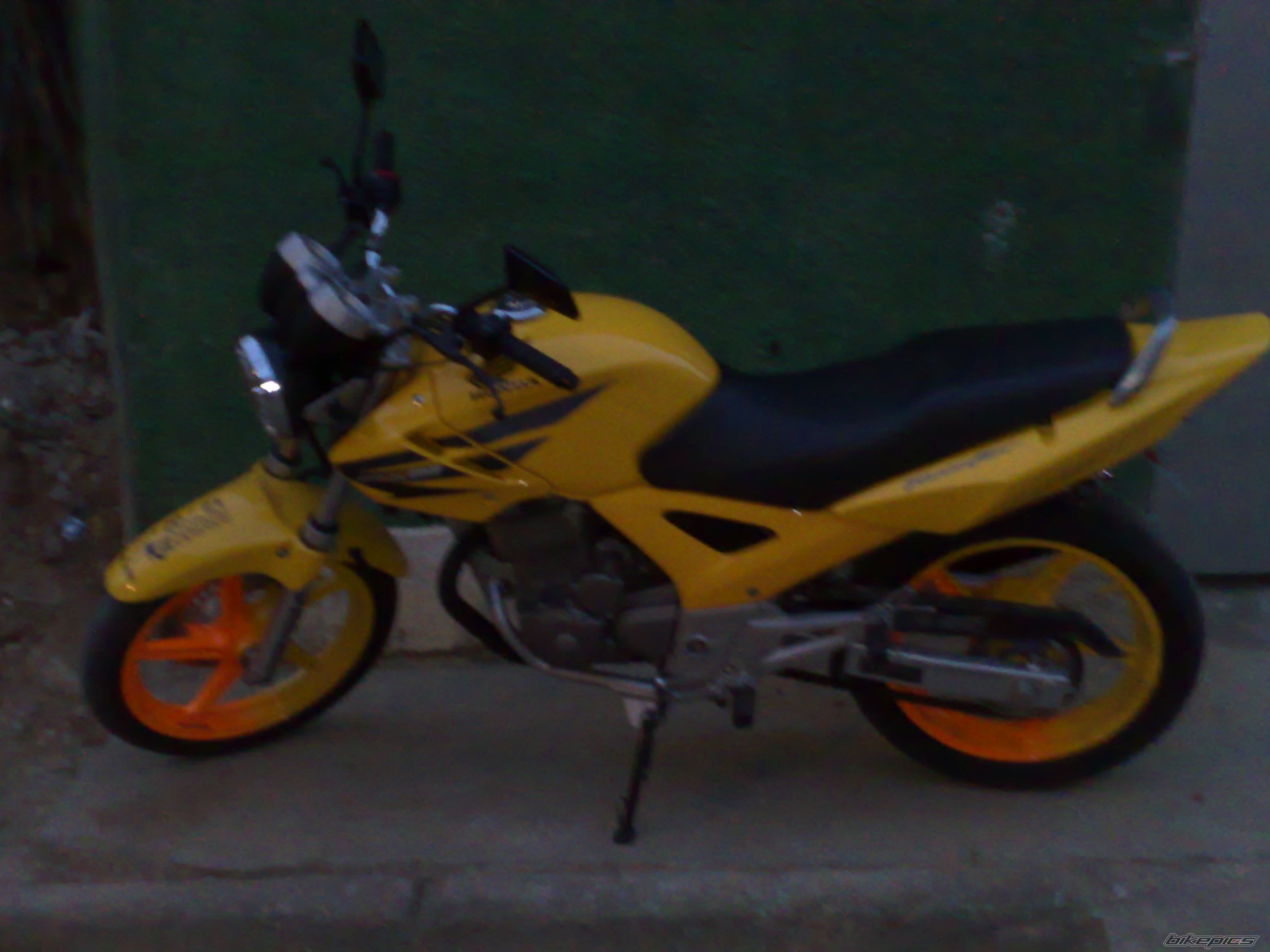 Photo 1305131