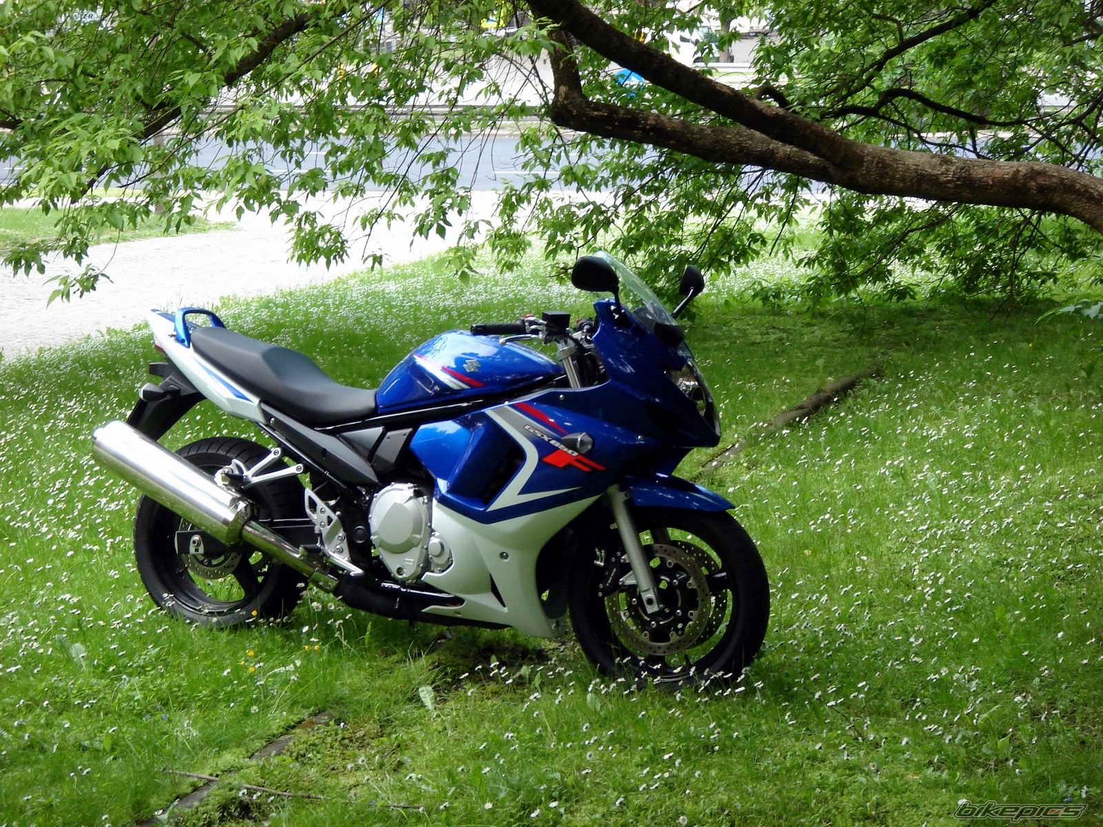 Bike Photo 1305220