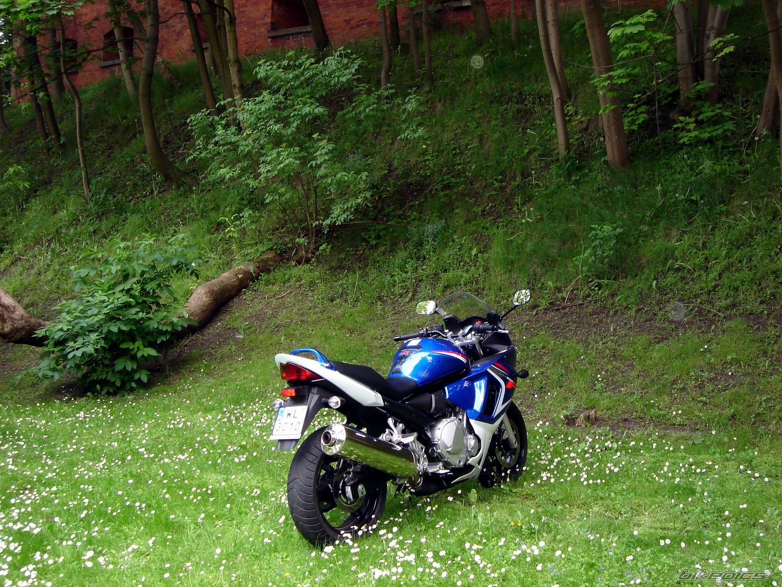 Bike Photo 1305222