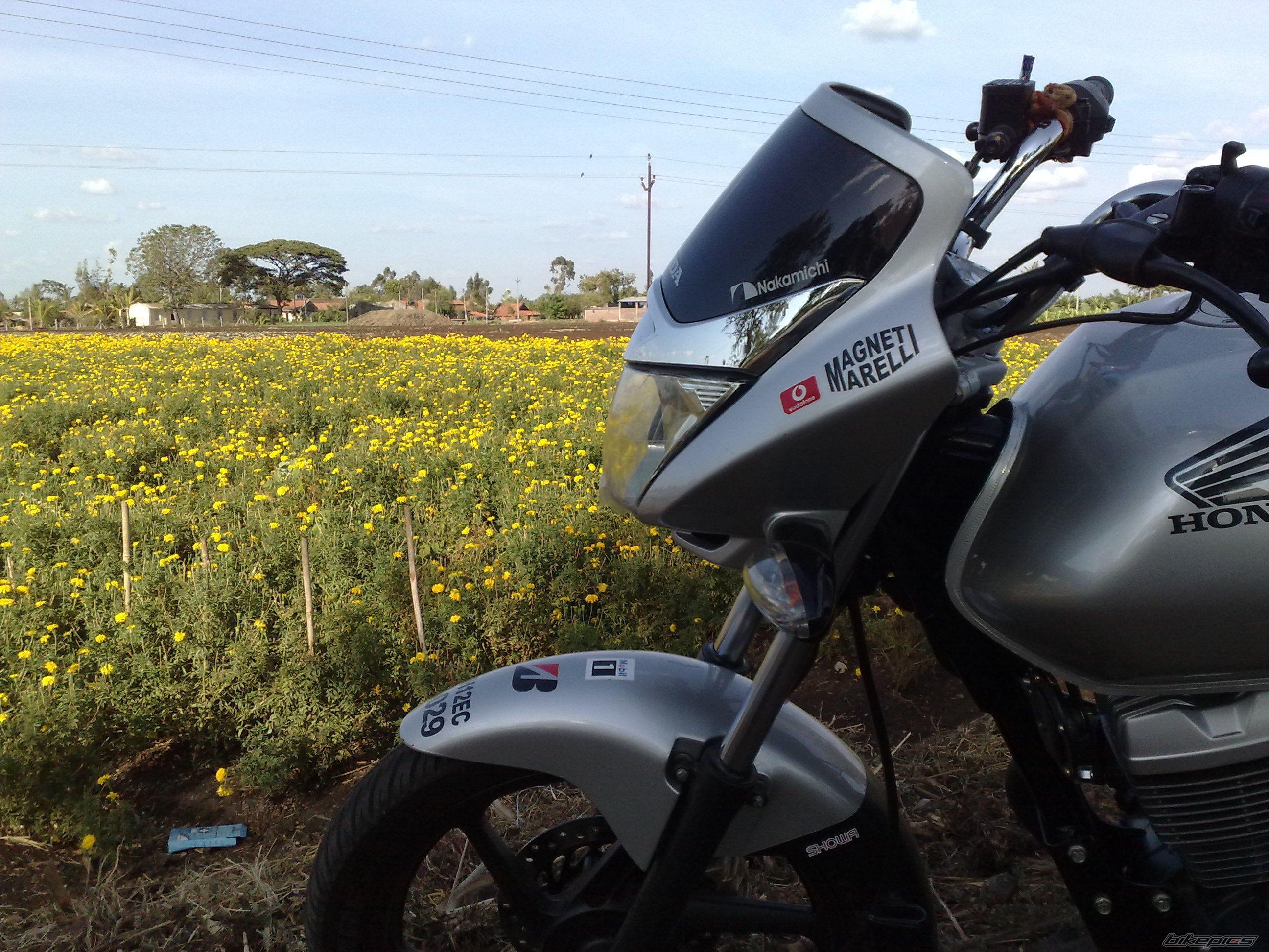 Bike Photo 1305223