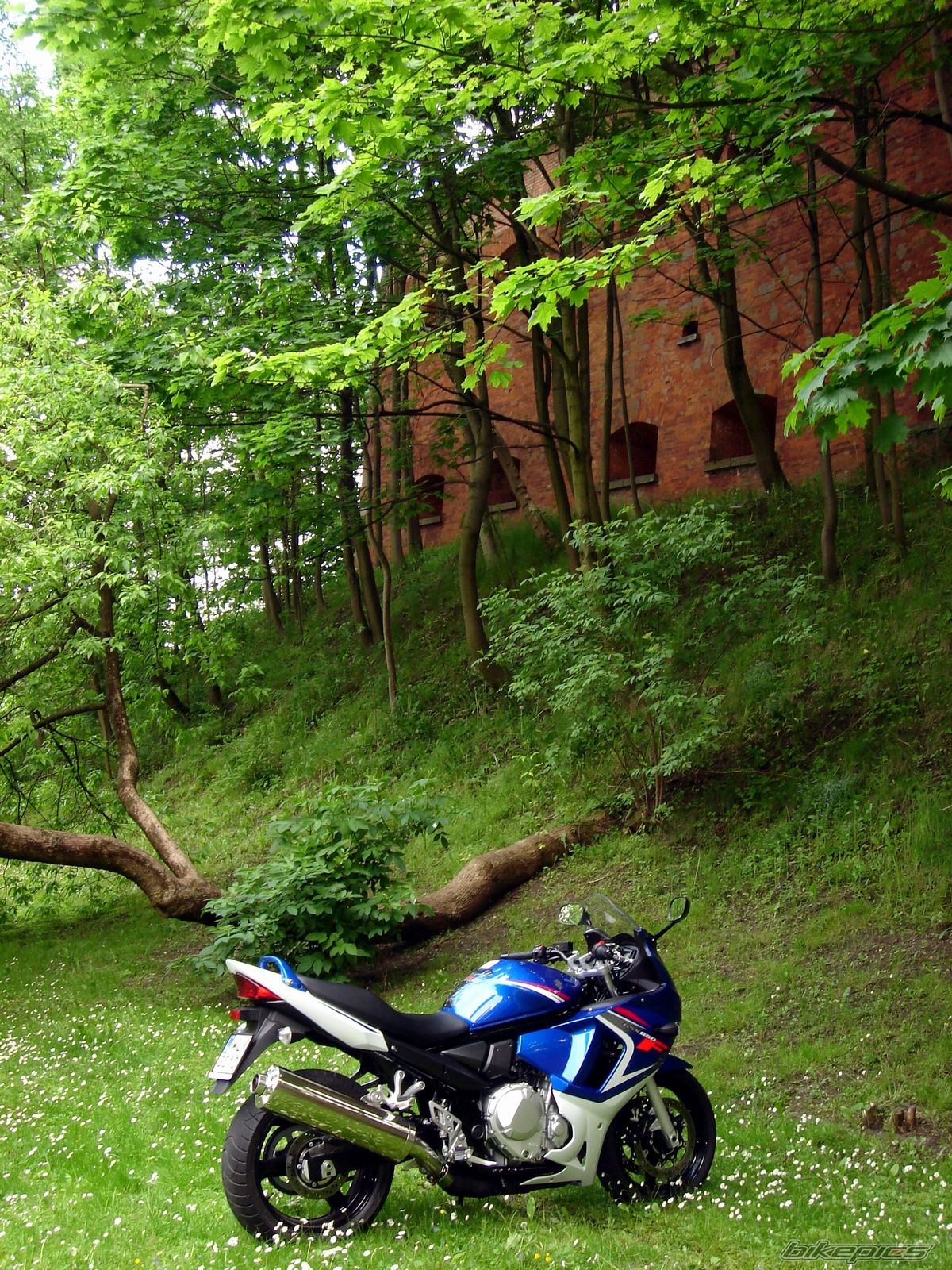 Bike Photo 1305227