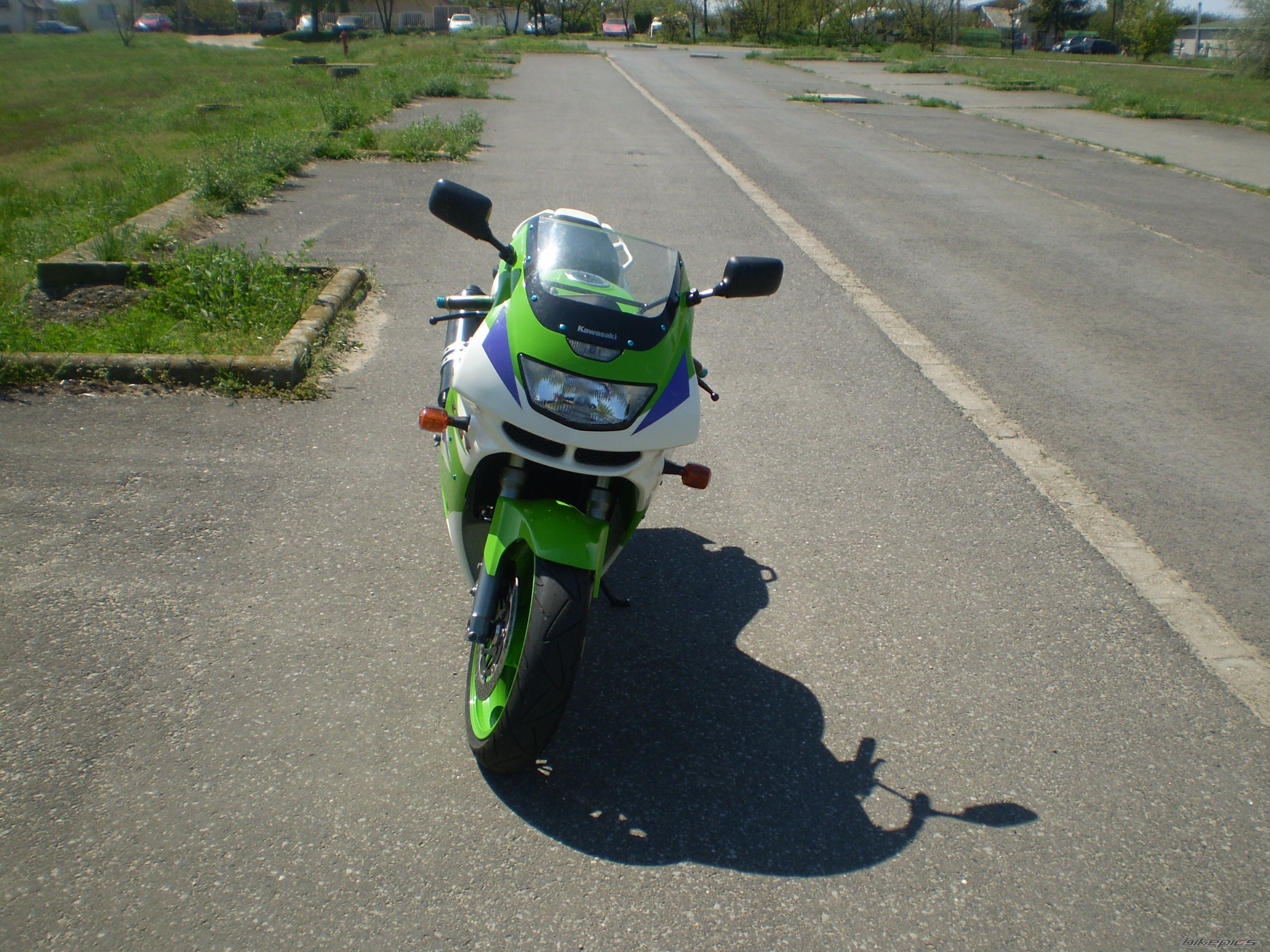 Photo 1305282