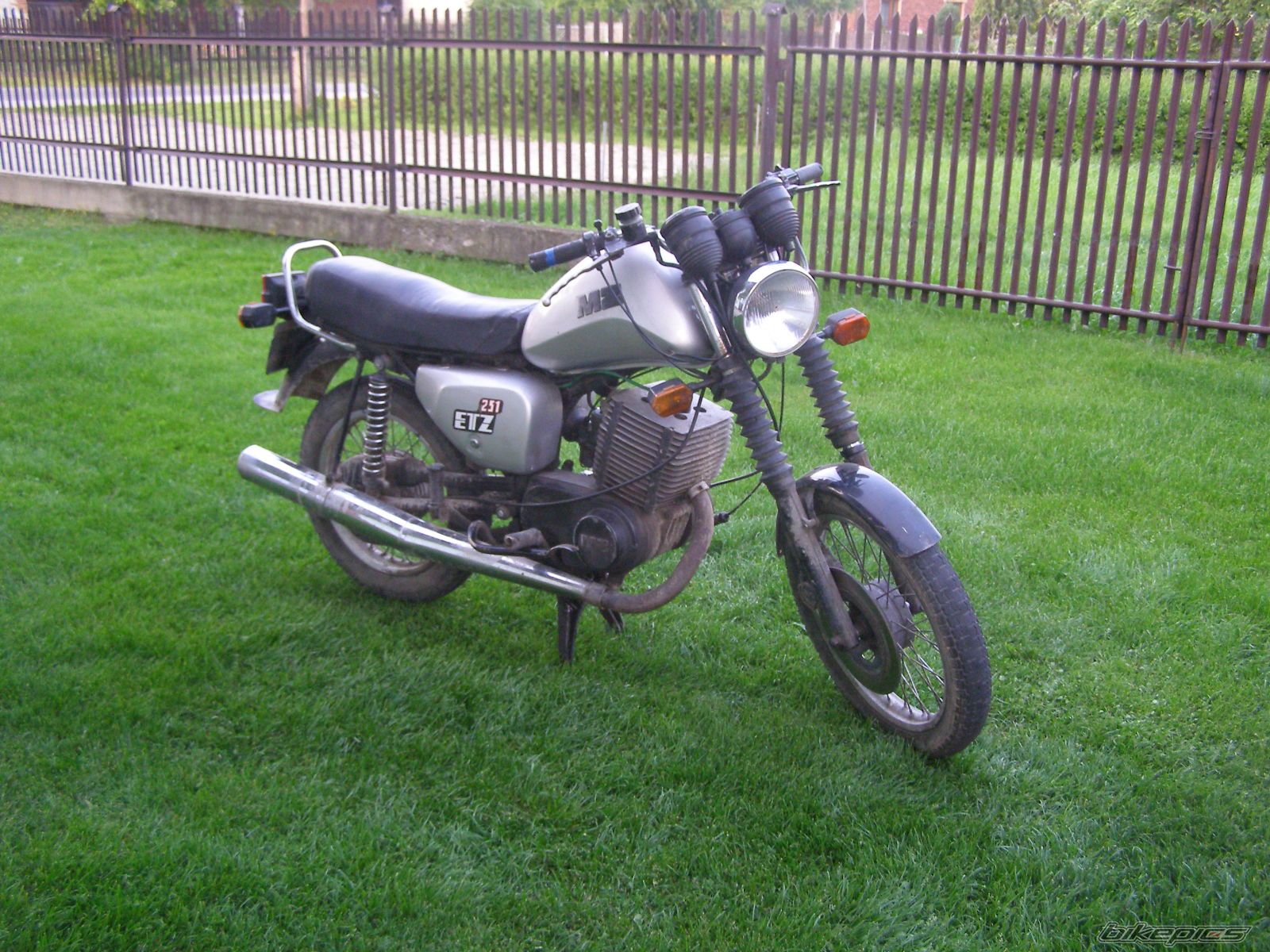 Photo 1305303