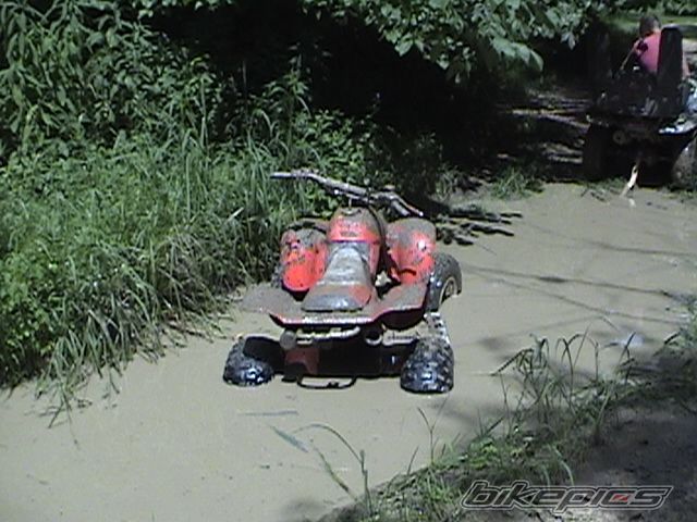 Photo 1305322