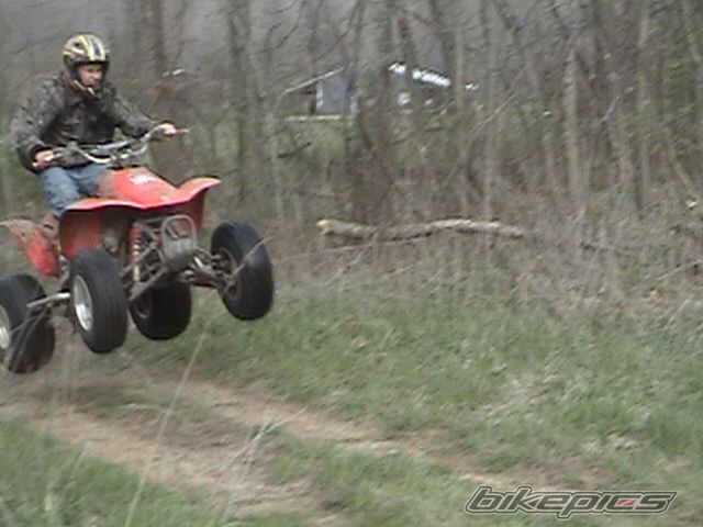 Photo 1305328