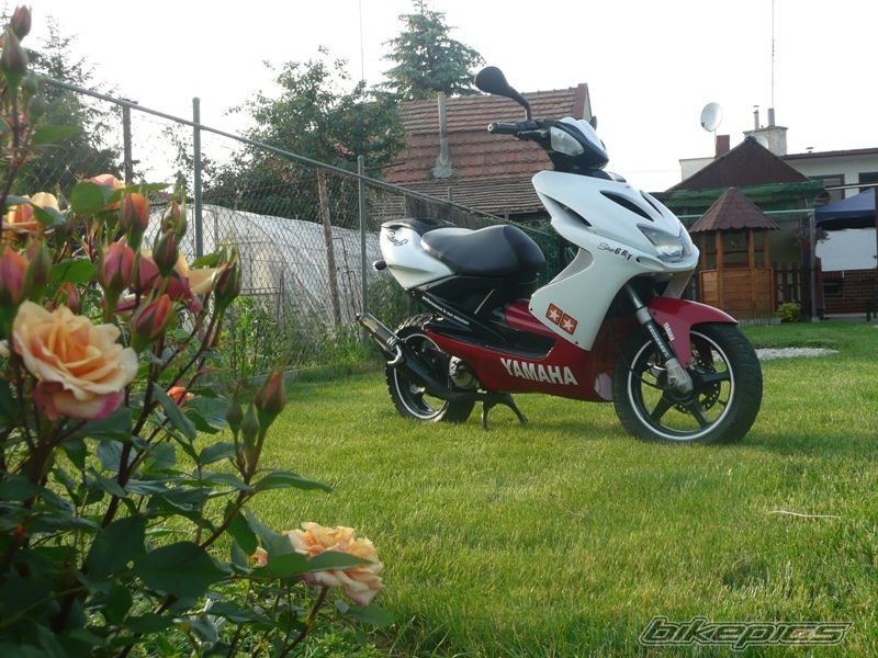 Photo 1305335