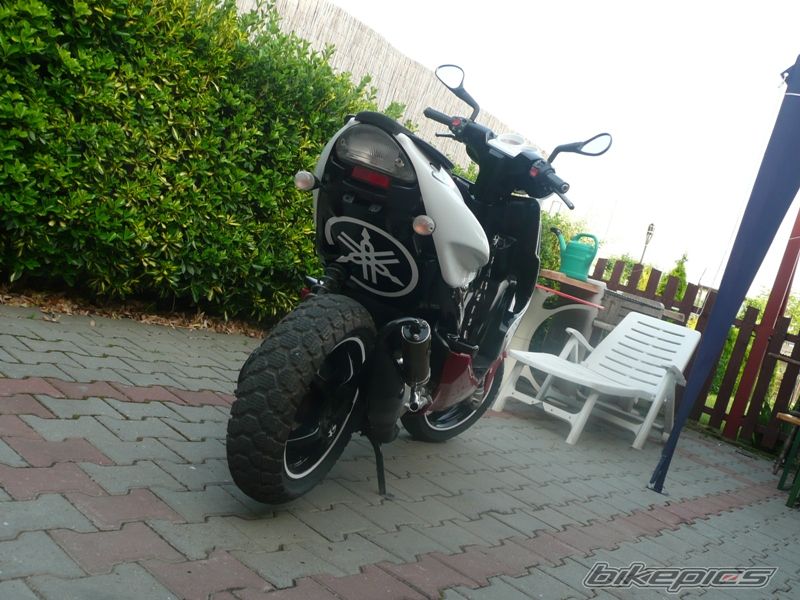 Photo 1305345