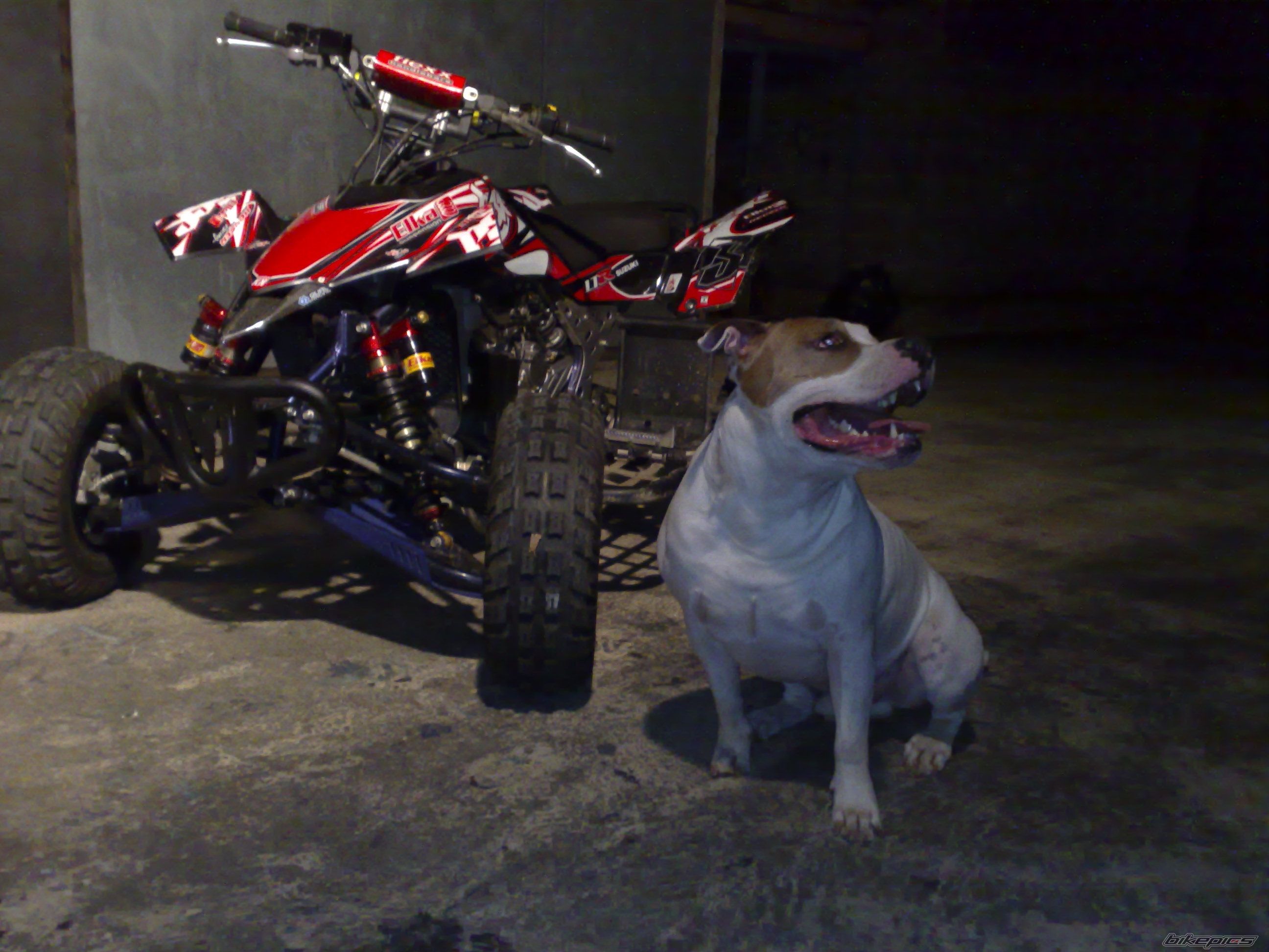 Photo 1305360