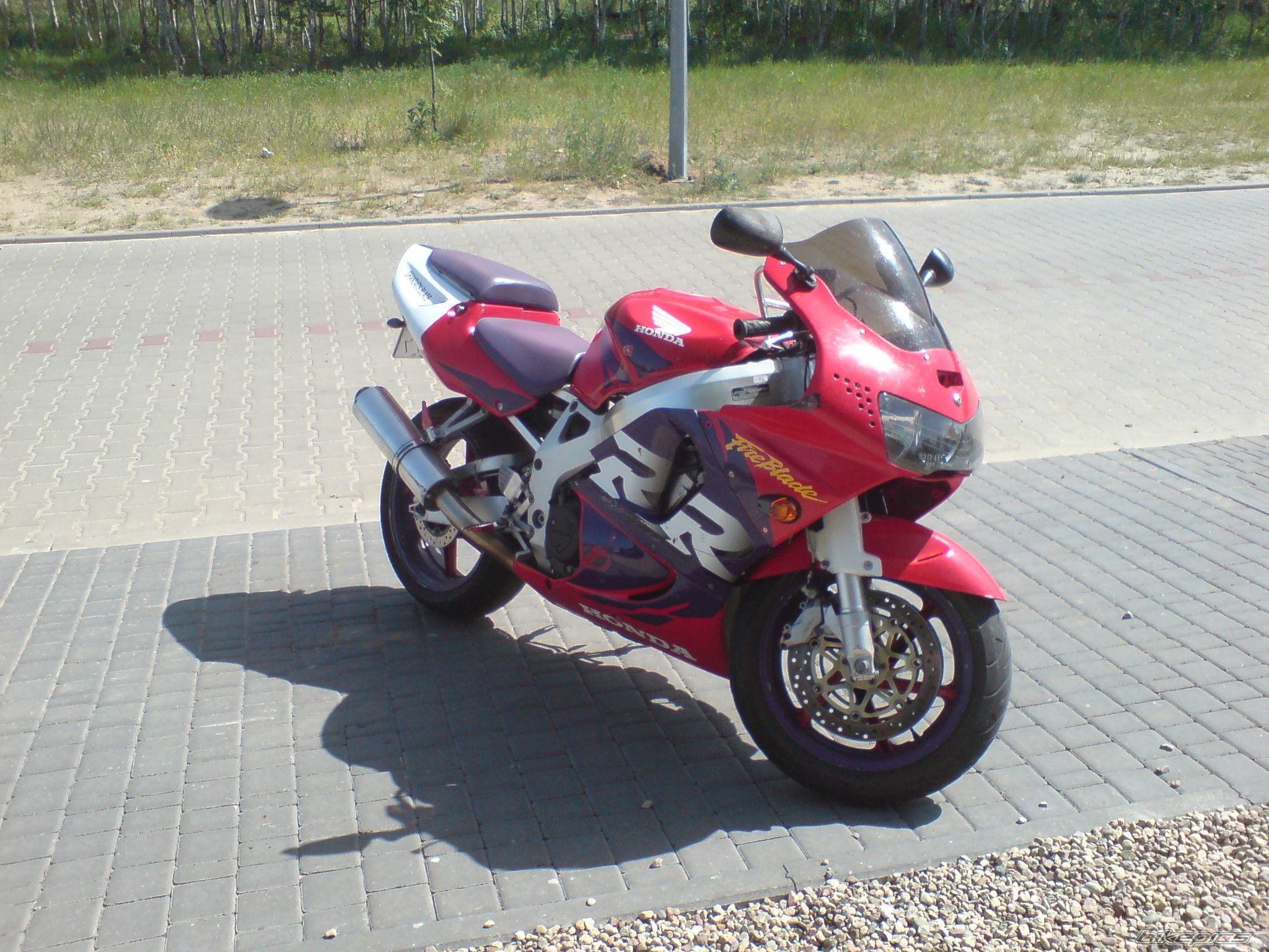 Photo 1305384