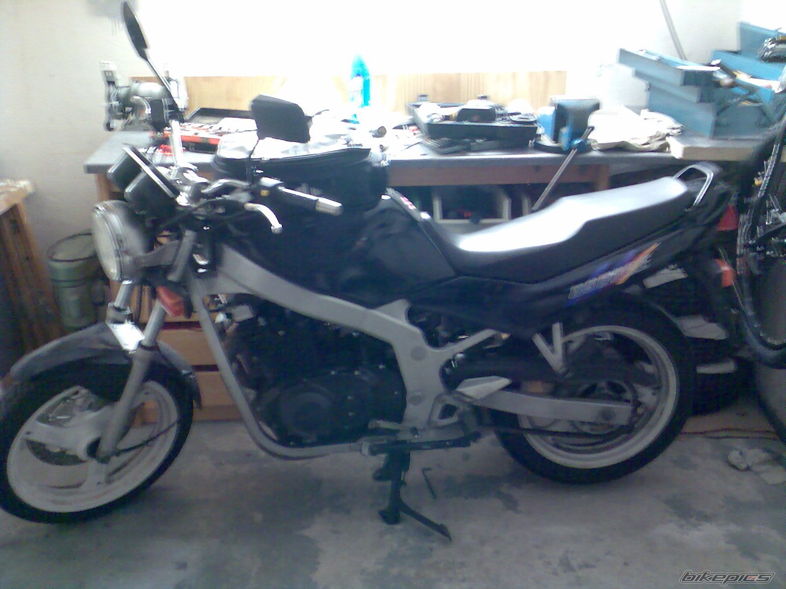 Photo 1305406