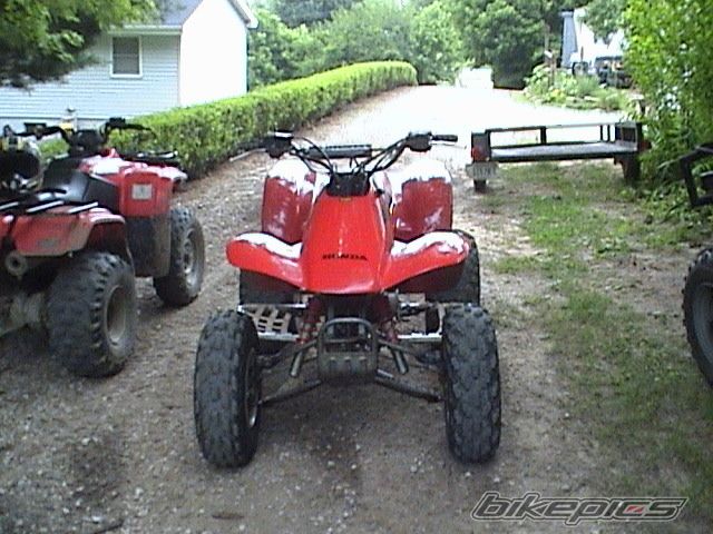 Photo 1305415