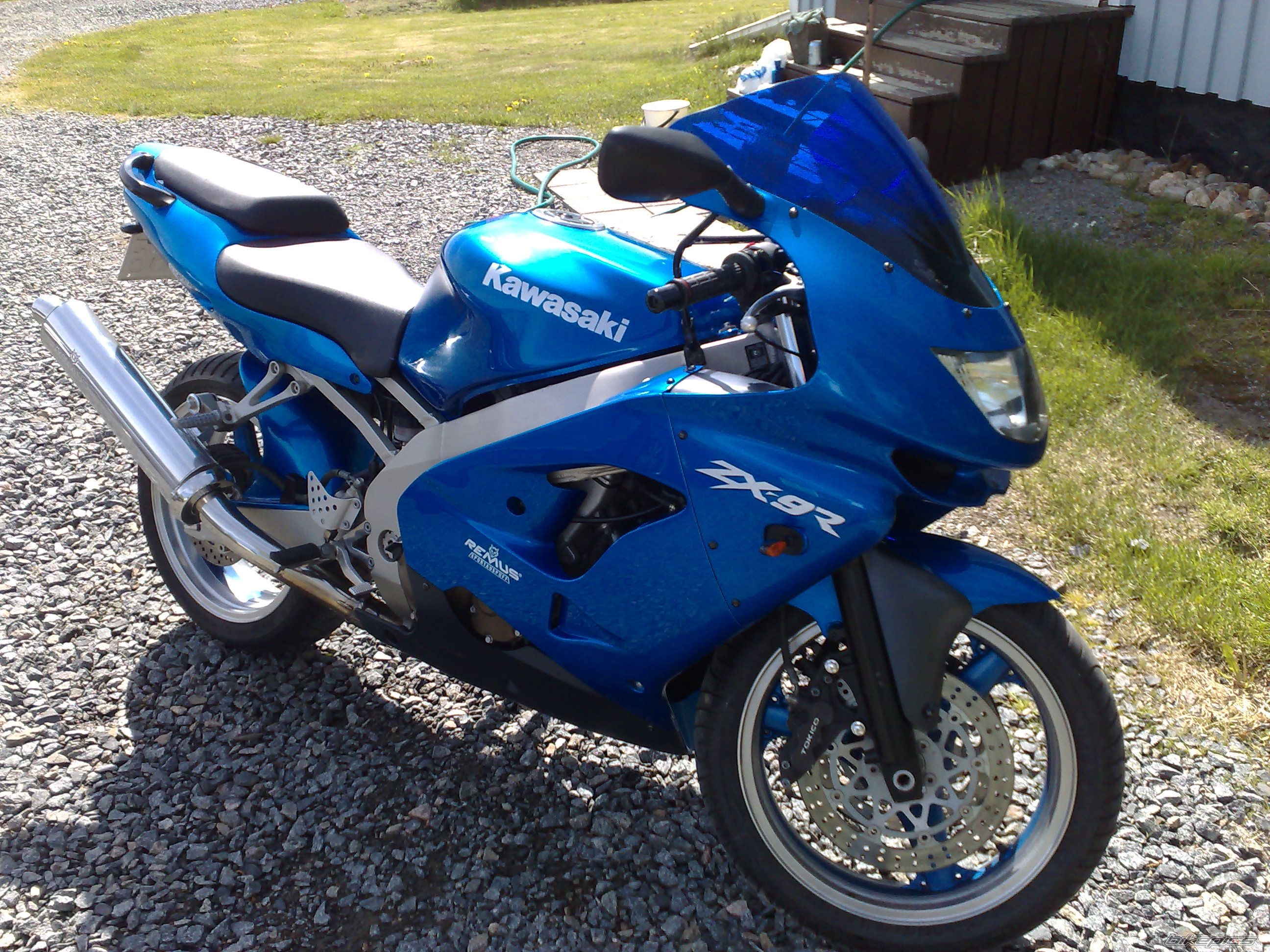 Photo 1305541