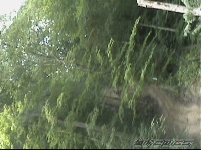 Photo 1305551