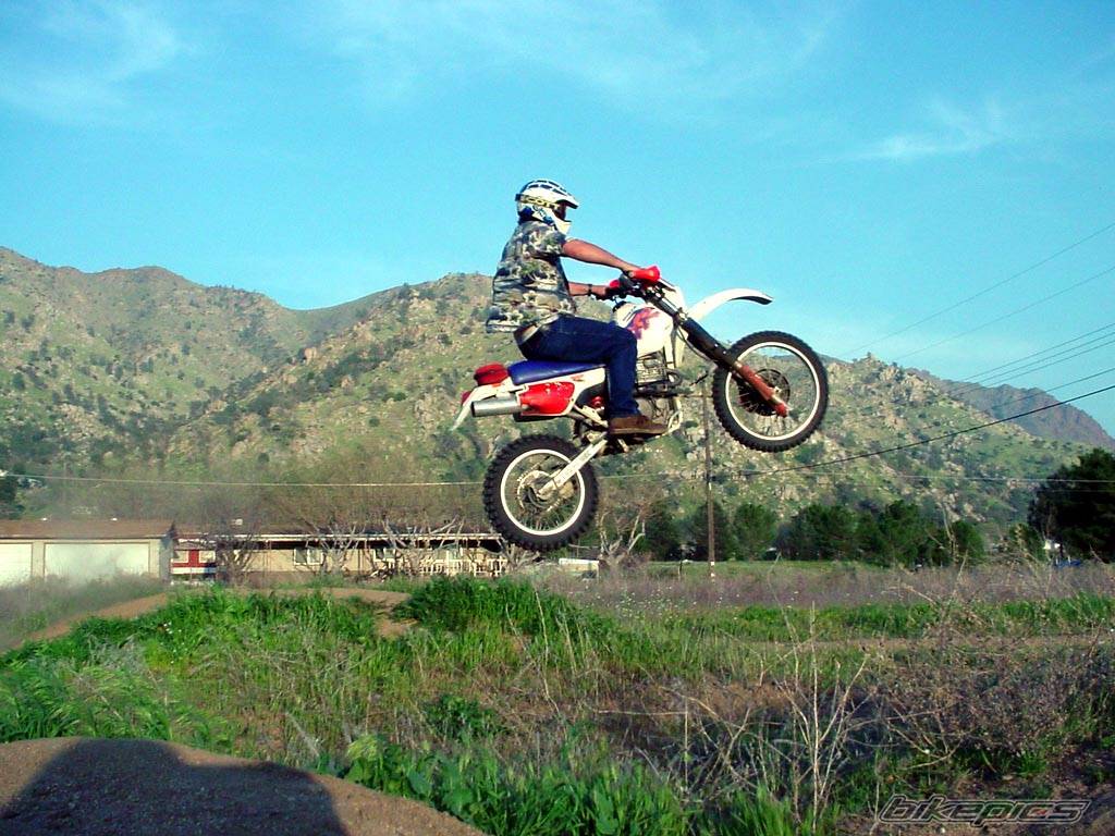 Bike Photo 130556