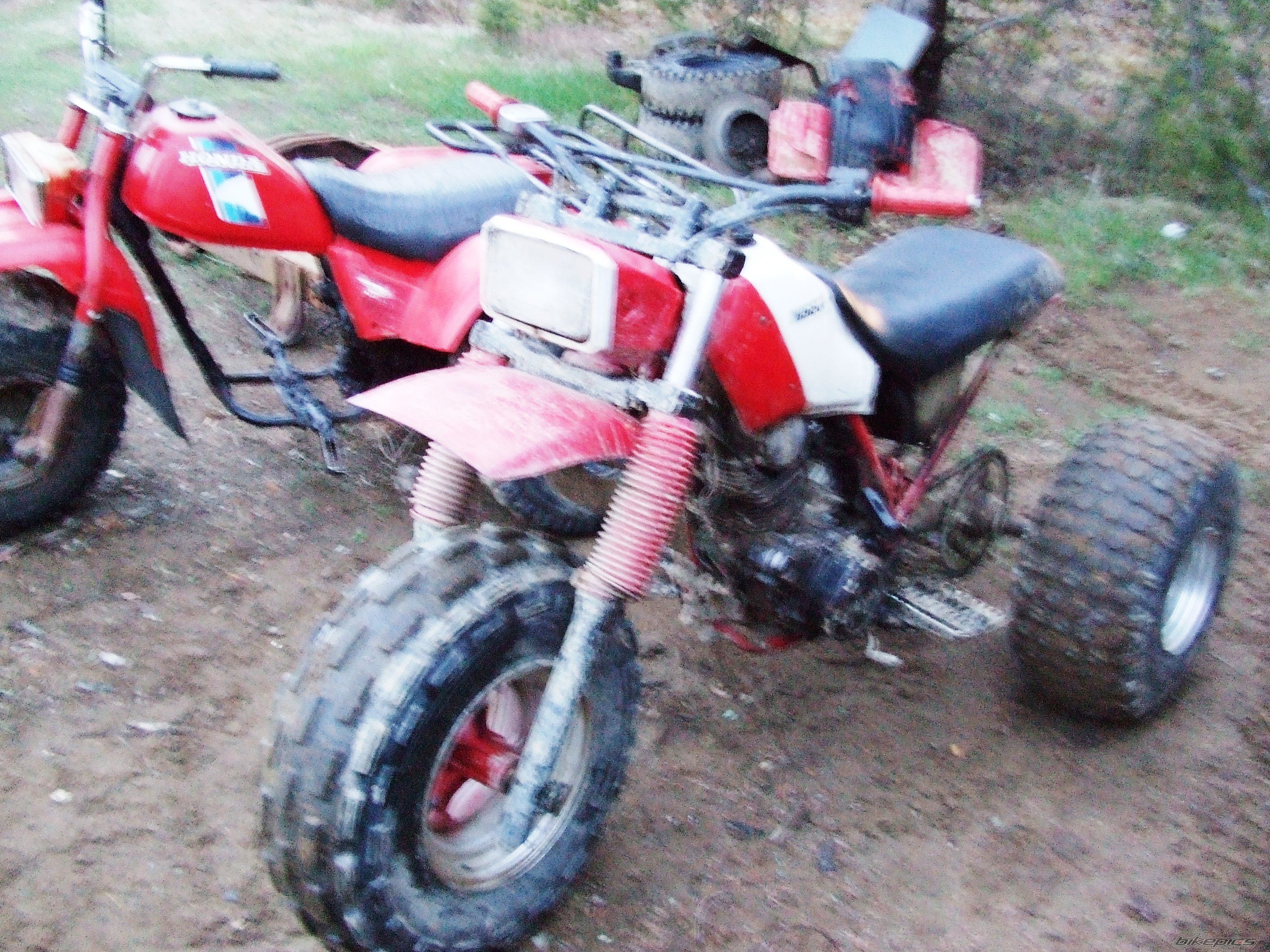 Bike Photo 1305591